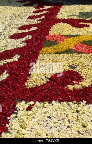 Während der Vorabend des religiösen Fest Fronleichnam, einschließlich der Nacht, die Straßen sind depposti den Pfad des Allerheiligsten, ein Teppich aus Stockfoto
