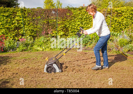 Frau person Vertikutieren/Harken ein Rasen mit einem elektrisch betriebenen Rasen Vertikutierer in einem englischen Country Garden England Großbritannien Stockfoto