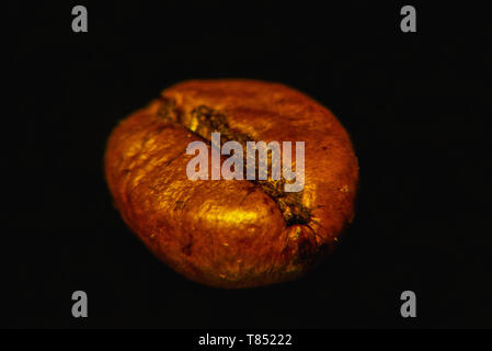 Kaffeebohne auf schwarze Hintergrund vergrößert, Nahaufnahme. Im Innenbereich. Künstliches Licht. Stockfoto