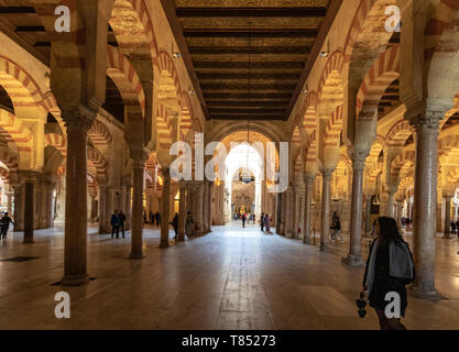 Arkaden hypostyle Halle mit 856 Spalten von Jaspis, Onyx, Marmor, Granit und Porphyr Moschee - Kathedrale von Córdoba, Mezquita Cordoba, Andalusien, Spanien Stockfoto