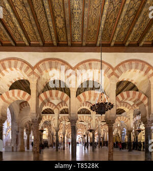 Arkaden hypostyle Halle mit 856 Spalten von Jaspis, Onyx, Marmor, Granit und Porphyr Moschee - Kathedrale von Córdoba, Mezquita Cordoba, Andalusien, Spanien Stockfoto