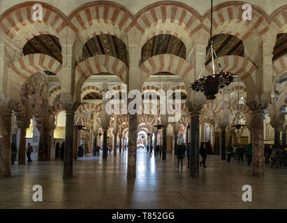 Arkaden hypostyle Halle mit 856 Spalten von Jaspis, Onyx, Marmor, Granit und Porphyr Moschee - Kathedrale von Córdoba, Mezquita Cordoba, Andalusien, Spanien Stockfoto