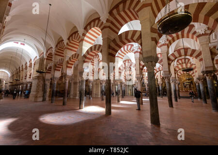 Arkaden hypostyle Halle mit 856 Spalten von Jaspis, Onyx, Marmor, Granit und Porphyr Moschee - Kathedrale von Córdoba, Mezquita Cordoba, Andalusien, Spanien Stockfoto