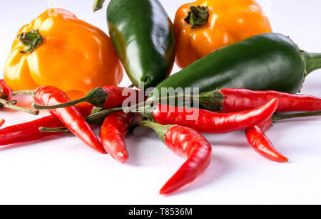 Gruppe von heißen Piri-Piri Pfeffer auf weißem Hintergrund Stockfoto