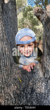 Süße kleine Baby Junge Klettern in alten Olivenbaum, Parc Du Cap Martin in Roquebrune-Cap-Martin, Frankreich, Europa, Nahaufnahme, Porträt Stockfoto