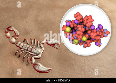 Molekül des Scorpion chlorotoxin, zusammengesetztes Bild Stockfoto