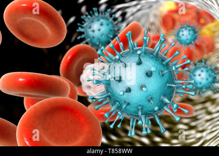 Menschliche cytomegaloviruses im Blut, Abbildung Stockfoto