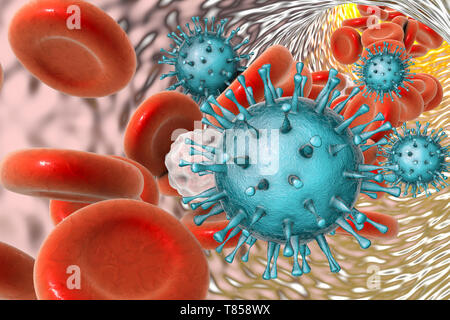 Menschliche cytomegaloviruses im Blut, Abbildung Stockfoto