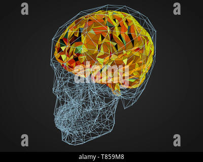 Menschliche Gehirn, Abbildung Stockfoto
