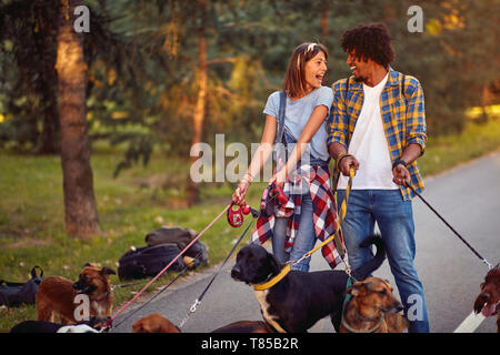 Professionelles Ehepaar hund Spaziergänger mit Hund im Park genießen. Stockfoto