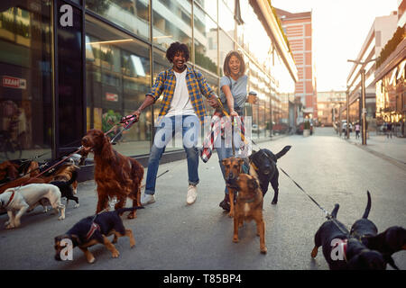 Happy Dog Walker Spaziergänge Hunde und genießen im Freien. Stockfoto