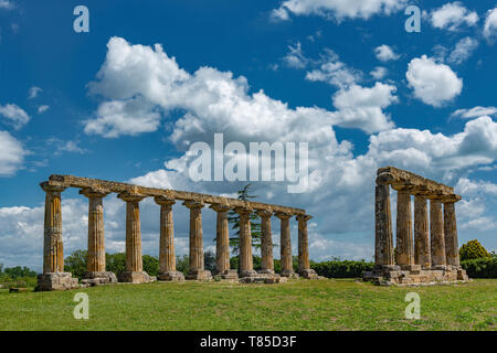 Heiligtum der Hera (Tavole Palatine), Metaponto. Basilikata Italien Stockfoto