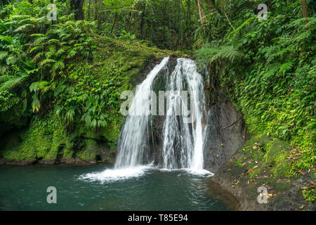 Wasserfall Cascade aux Ecrevisses im Nationalpark Guadeloupe, Basse-Terre, Guadeloupe, Frankreich | Wasserfall Cascade aux Ecrevisses Guadeloupe Natio Stockfoto