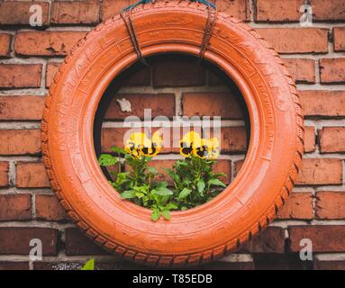 Eine alte orange Autoreifen wiederverwendet als Plant containers Kairo, Ägypten, 26. März 2019 Stockfoto