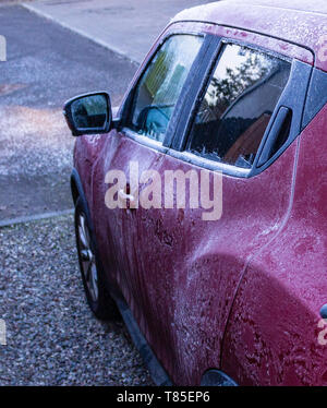 Lila Auto in Frost auf einen sehr kalten Winter morgen vor Schaben das Eis aus der Windows und gehen in die Tiefe des Winters zu arbeiten. Stockfoto