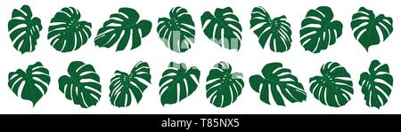 Satz von tropischen monstera verlässt. Vector Illustration. Exotische Blätter isoliert. Stock Vektor