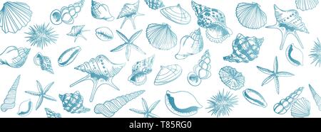 Vektor seashell Doodles vollständigen Vektor großes Banner Stock Vektor