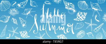 Vektor seashell Doodles vollständigen Vektor großes Banner Stock Vektor
