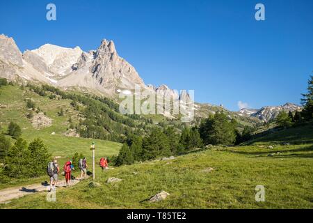 Frankreich, Hautes Alpes, Nevache, La Claree Tal, Wanderer auf dem GR Pays du Tour du Mont Thabor, im Hintergrund das Bergmassiv Cerces (3093 m) und die Gipfel der wichtigsten de Crepin (2942 m) Stockfoto