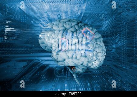 Künstliche Intelligenz, Konzeptbild Stockfoto