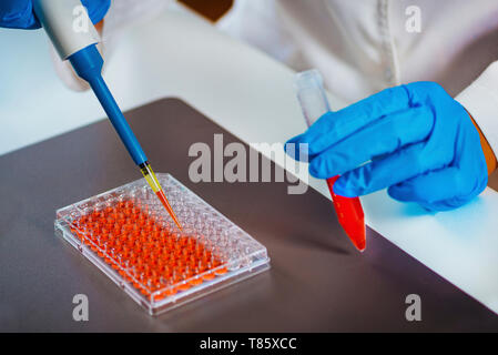 Pipettieren Probe Stockfoto