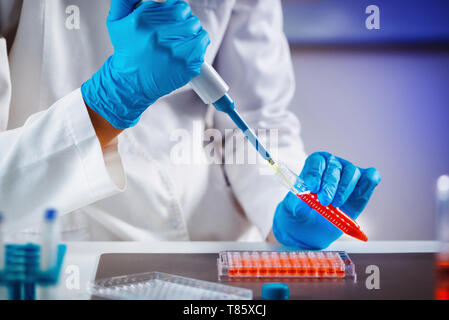 Pipettieren Probe Stockfoto