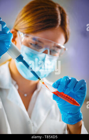 Pipettieren Probe Stockfoto