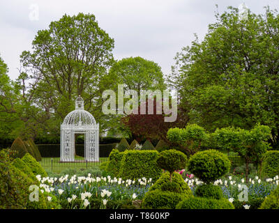Die weiße Pagode im Parterre an chenies Manor Gardens Anfang Mai mit Weißen tuilp Triumphator und Formgehölze im Querformat. Stockfoto