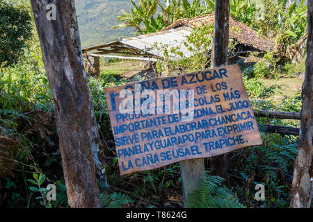 Informationen über die Verwendung von Zuckerrohr und Hütte für Zuckerrohr Bauern auf den Gocta Wasserfall Wanderung auf der Provinz Chachapoyas, Amazonas Region, Peru Stockfoto