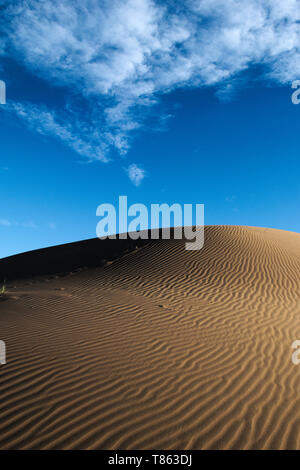 Große Sanddüne unter einem blauen Himmel mit Wolken, in der Wüste von Lavalle, Provinz Mendoza, Argentinien Stockfoto