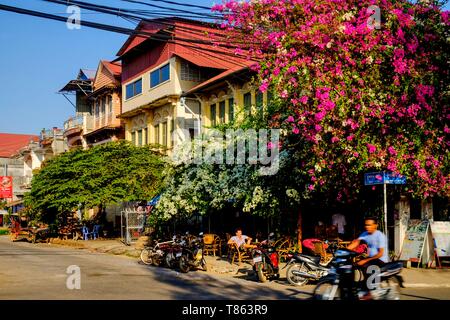 Kambodscha, Kampot Province, Kampot, ehemaligen kolonialen Häuser, die Java bleue Restaurant mit Ihrem Bougainvillea Stockfoto