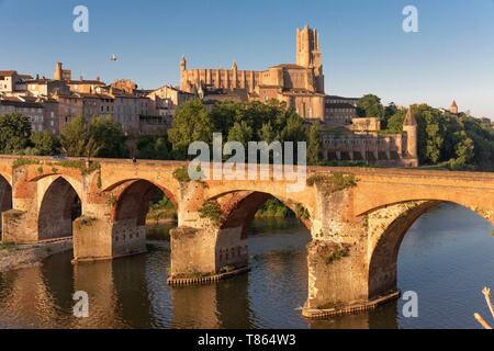 Frankreich, Tarn, Albi, als Weltkulturerbe von der UNESCO, die Kathedrale, die alte Brücke und den Fluss Tarn aufgeführt Stockfoto