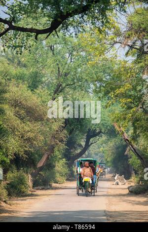 Indien, Rajasthan, Bharatpur, Keoladeo Nationalpark (oder Keoladeo Ghana National Park), ein UNESCO-Weltkulturerbe, ist Heimat von über 230 Vogelarten, Besuch des Parks von cycle-Rikscha Stockfoto