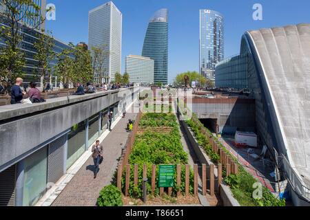 Frankreich, Hauts de Seine, Vorort von Paris, La Défense, der Garten der Arche, Gemeinschaftsgarten, diese Blume Garten, essbare und ökologischen bietet 200 m ² nutzbarer Grünflächen. Es wird durch seine Mitglieder mit dem Rat eines spezialisierten Animator angebaut Stockfoto