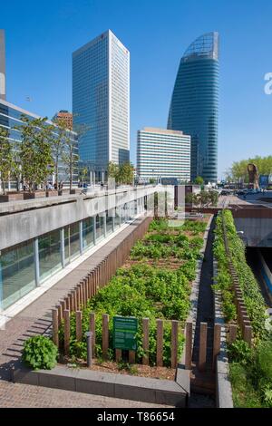 Frankreich, Hauts de Seine, Vorort von Paris, La Défense, der Garten der Arche, Gemeinschaftsgarten, diese Blume Garten, essbare und ökologischen bietet 200 m ² nutzbarer Grünflächen. Es wird durch seine Mitglieder mit dem Rat eines spezialisierten Animator angebaut Stockfoto