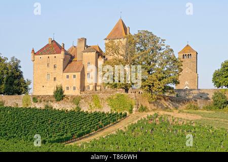 Frankreich, Saone-et-Loire, Pierreclos, Schloss von Pierreclos Stockfoto