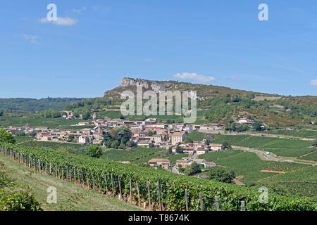 Frankreich, Saone-et-Loire, Dorf von solutre Pouilly und Chardonnay Weinberge unterhalb der Felsen von solutre Stockfoto