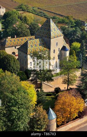 Frankreich, Cote d'Or, kulturellen Landschaft des Burgund Klimas als Weltkulturerbe von der UNESCO, Santenay, das Schloss mit seinen farbigen und glasierte Fliesen Dach (Luftbild) Stockfoto