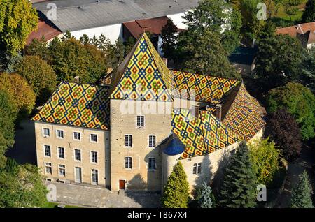 Frankreich, Cote d'Or, kulturellen Landschaft des Burgund Klimas als Weltkulturerbe von der UNESCO, Santenay, das Schloss mit seinen farbigen und glasierte Fliesen Dach (Luftbild) Stockfoto