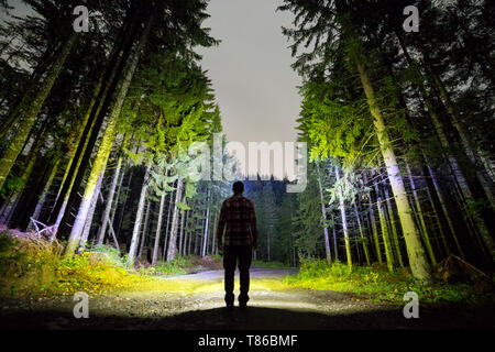 Rückansicht der Mann mit der Taschenlampe auf waldboden Straße unter hohen hell beleuchteten Bäume unter schönen Dunkelblauen Himmel Fichten. Nacht Stockfoto