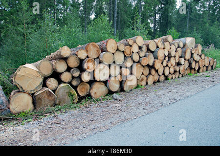 Schwarzwald in Bayern, Deutschland. Unberührte Natur mit Bergen, Wäldern, Seen und bezaubernde Länder. Stapel von Brennholz. Stockfoto