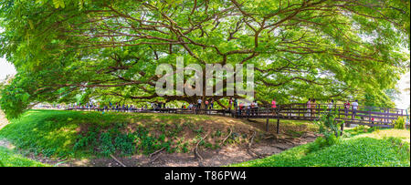 Kanchanaburi, Thailand - 28 April, 2019: eine gigantische Rain Tree (Baum) Chamchuri, Kanchanaburi, Thailand oder riesigen Affen Pod Baum mit vielen touri Stockfoto