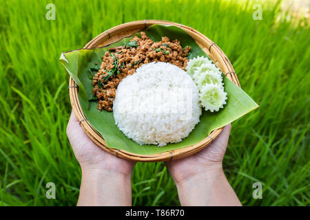 Thai Food Reis garniert mit gebratenen Schwein und Basilikum Gurke in traditionellen Bambus Webart Gericht und Banana Leaf an Hand mit Jasmin Reis Felder backgr Stockfoto