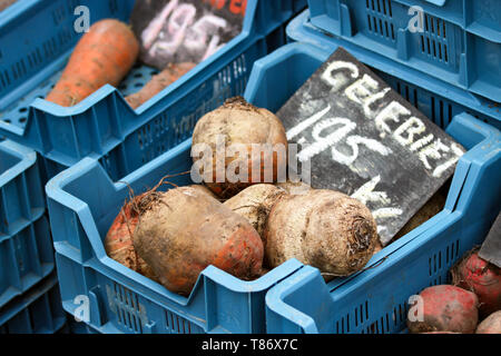 Golden Rüben auf biologische Bauernmarkt in Amsterdam, Niederlande Stockfoto