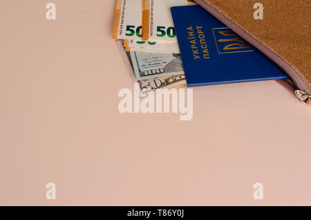 Ukrainischen internationalen Reisepass mit Dollar und Euro auf pastellfarbenen Hintergrund mit kopieren. Ansicht von oben. Travel Concept. Finanzen und Reisen Konzept Stockfoto