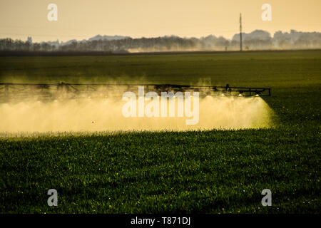 Jets von Flüssigdünger aus dem Traktor Feldspritze. Traktor mit Hilfe einer Spritze sprays Flüssigdünger auf jungen Weizen im Feld. Die Verwendung Stockfoto