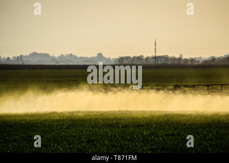 Jets von Flüssigdünger aus dem Traktor Feldspritze. Traktor mit Hilfe einer Spritze sprays Flüssigdünger auf jungen Weizen im Feld. Die Verwendung Stockfoto