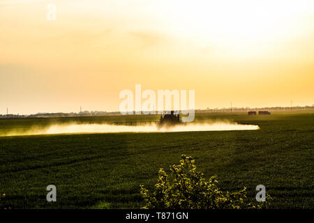 Traktor mit Hilfe einer Spritze sprays Flüssigdünger auf jungen Weizen im Feld. Die Verwendung von fein verteilten Sprühnebel Chemikalien. Traktor auf der Stockfoto