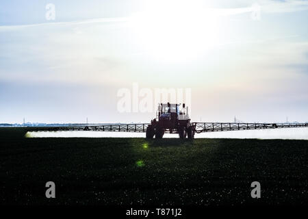 Traktor mit Hilfe einer Spritze sprays Flüssigdünger auf jungen Weizen im Feld. Die Verwendung von fein verteilten Sprühnebel Chemikalien. Traktor auf der Stockfoto