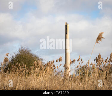 Northampton, Northamptonshire/UK - 01.02.2018: Nationale Tower, ehemals Express Tower (coloquially, Northampton Leuchtturm). Stockfoto